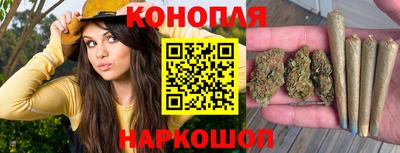 бошки Краснодар