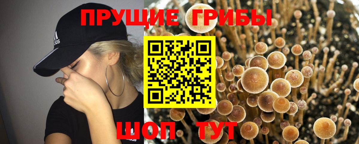 Галлюциногенные грибы MAGIC MUSHROOMS Кашира