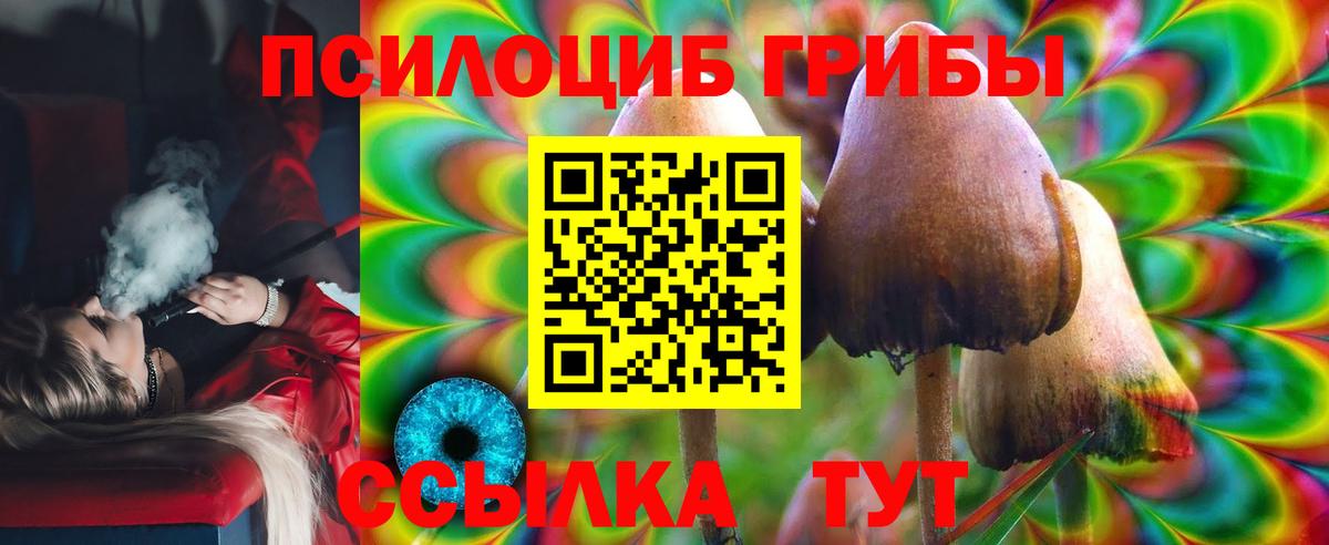 Кашира  Псилоцибиновые грибы MAGIC MUSHROOMS  Вход с VPN 